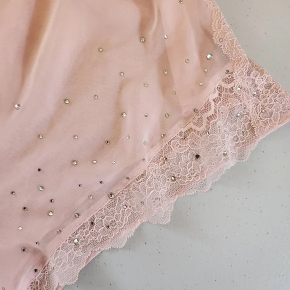 Victoria's Secret Pink Sheer See Through Panty Panties Bloomers New NWT Lace - Picture 2 of 7